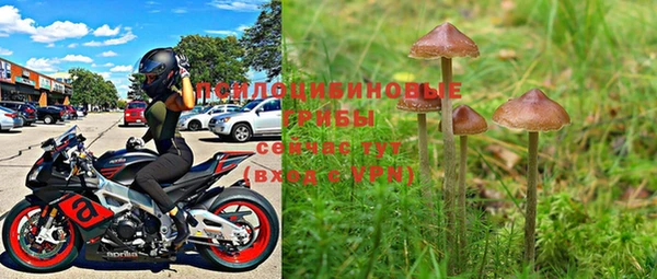 бошки Абинск