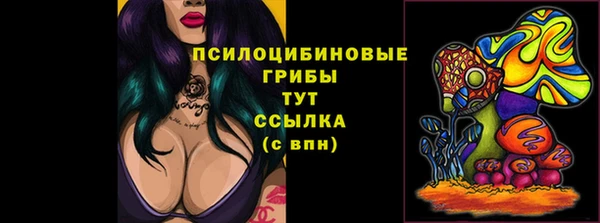apvp Абаза