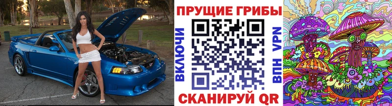цена наркотик  MEGA ссылки  Псилоцибиновые грибы прущие грибы  Кострома 