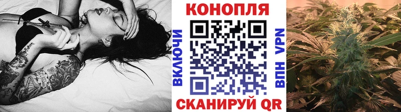 где найти   Кострома  Марихуана AK-47 